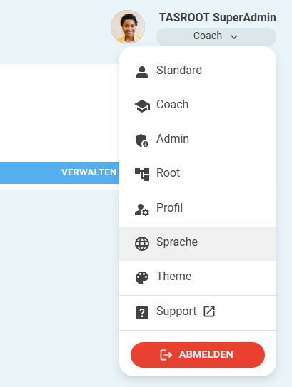 Settings menu for accessing the language menu
